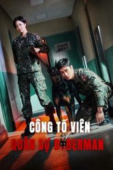 cong-to-vien-quan-su-doberman