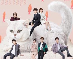 bat-can-meow-phai-anh-thumb