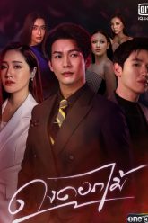 rung-hoa-ruc-lua-thumb-1