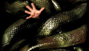 tran-khong-lo-san-lung-huyet-lan-thumb