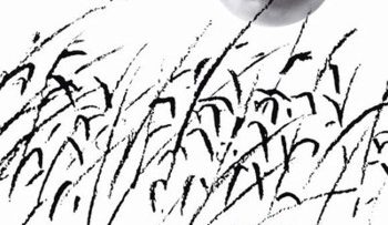 cao-luong-do-vietsub-thuyet-minh