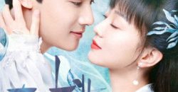 ly-nhan-tam-thuong-vietsub-thuyet-minh