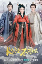 truong-cong-chua-bat-dac-di-vietsub-thuyet-minh