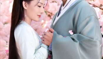 vo-tinh-phai-long-tuong-quan-trom-phai-tim-chang-vietsub-thuyet-minh