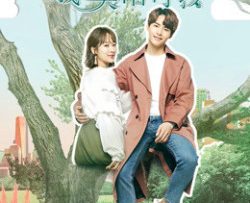 chang-trai-mac-cach-ly-cua-toi-chang-trai-mowgli-cua-toi-vietsub-thuyet-minh