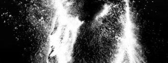 con-gau-phe-can-vietsub-thuyet-minh