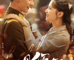 nhat-kien-khuynh-tam-vietsub-thuyet-minh