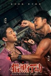 Truy Quét Băng Đảng Vietsub Thuyết Minh