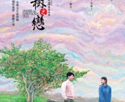 chuyen-tinh-cay-tao-gai-vietsub-thuyet-minh