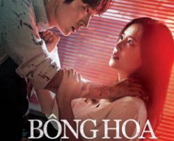 bong-hoa-ac-ma-hoa-cua-quy-vietsub-thuyet-minh