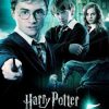 harry-potter-va-menh-lenh-phuong-hoang-vietsub-thuyet-minh
