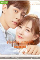 mat-that-vay-ca-loi-vietsub-thuyet-minh