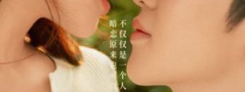 vung-trom-khong-the-giau-vietsub-thuyet-minh