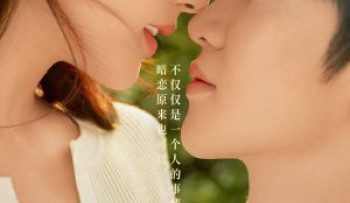 vung-trom-khong-the-giau-vietsub-thuyet-minh