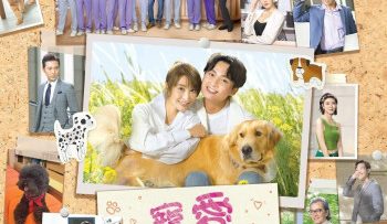 cho-cung-cua-toi-vietsub-thuyet-minh