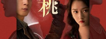 mai-hoa-hong-dao-vietsub-thuyet-minh