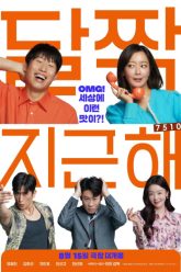 nhan-duyen-tien-dinh-vietsub-thuyet-minh