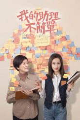 tro-ly-cua-toi-khong-don-gian-vietsub-thuyet-minh