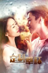 Phim Định Chế Hạnh Phúc (Customize Happiness 2016