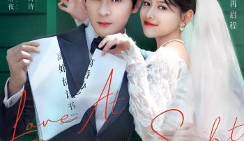 chi-la-quan-he-ly-hon-vietsub-thuyet-minh