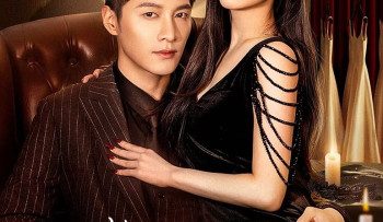 tinh-tham-bat-hoi-tai-ai-nan-vi-vietsub-thuyet-minh