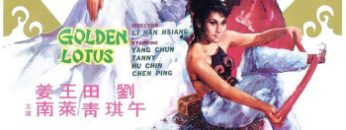 kim-binh-song-diem-vietsub-thuyet-minh