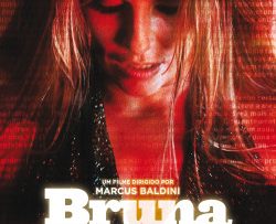 nhat-ky-gai-goi-vietsub-thuyet-minh