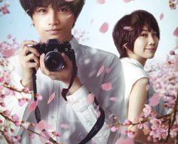 tinh-yeu-nhu-canh-hoa-roi-vietsub-thuyet-minh