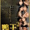 Trai Bao 2 -The Gigolo 2 2016