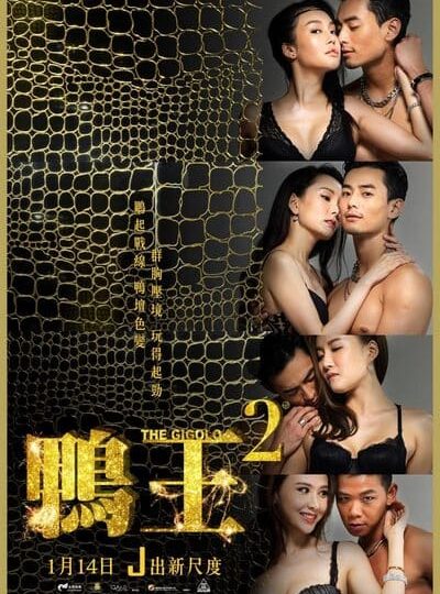 Trai Bao 2 -The Gigolo 2 2016