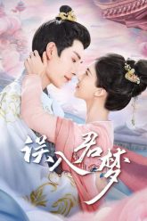 ngo-nhap-quan-mong-vietsub-thuyet-minh