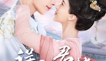 ngo-nhap-quan-mong-vietsub-thuyet-minh