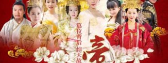 de-cam-vietsub-thuyet-minh