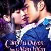 Cẩm Tú Duyên Hoa Lệ Mạo Hiểm | Cruel Romance 2015