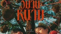 thien-duong-qua-bao-vietsub-thuyet-minh