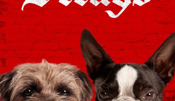 nhung-chu-cho-bui-doi-vietsub-thuyet-minh