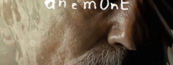 anemone-vietsub-thuyet-minh