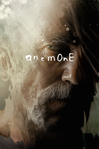anemone-vietsub-thuyet-minh Hải Quỳ Nở Hoa | Anemone 2025