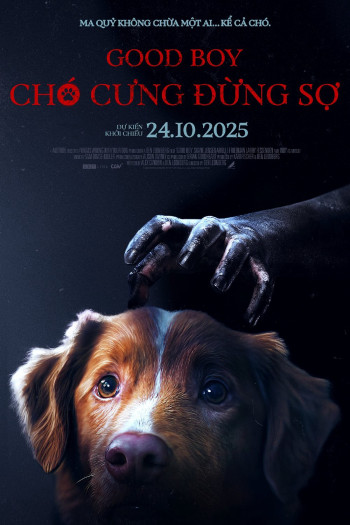 cho-cung-dung-so-vietsub-thuyet-minh Chó Cưng Đừng Sợ | Good Boy 2025