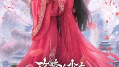 cua-cam-thieu-chu-lanh-lung-vietsub-thuyet-minh