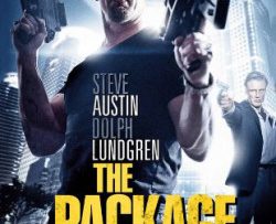 goi-hang-bi-an-vietsub-thuyet-minh