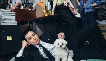 luat-su-cong-ich-vietsub-thuyet-minh