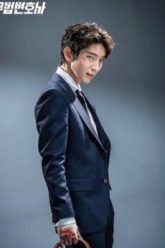 luat-su-vo-phap-vietsub-thuyet-minh