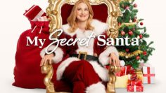 ong-gia-noel-bi-mat-cua-toi-vietsub-thuyet-minh