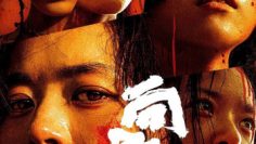 hoa-huong-duong-vietsub-thuyet-minh